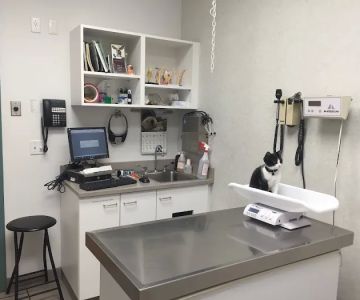 South Putnam Animal Hospital