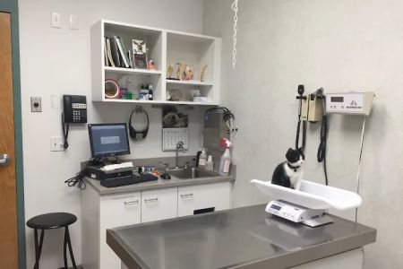South Putnam Animal Hospital