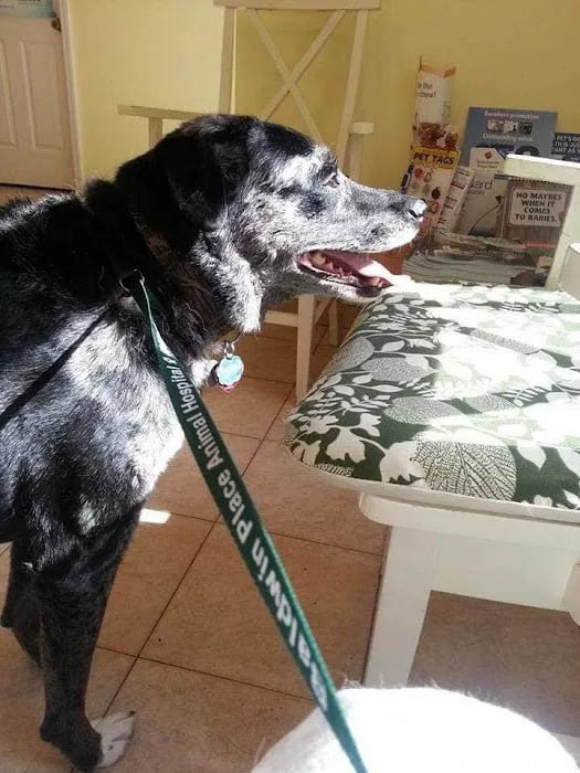Baldwin Place Animal Hospital 4
