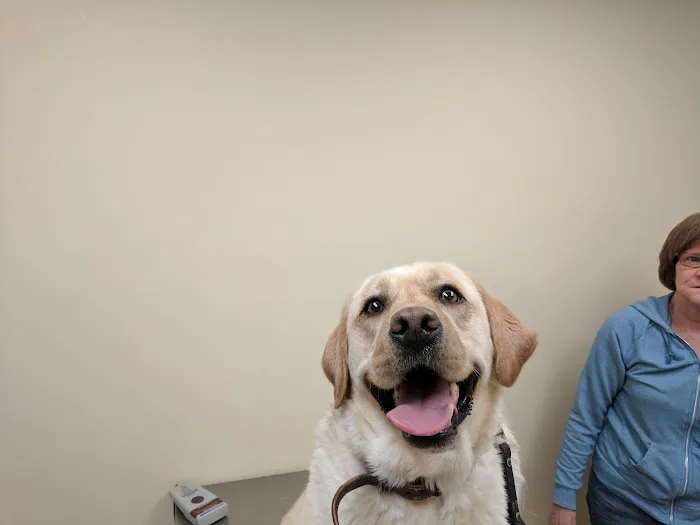 Baldwin Place Animal Hospital 3