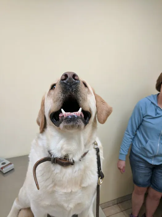Baldwin Place Animal Hospital 1