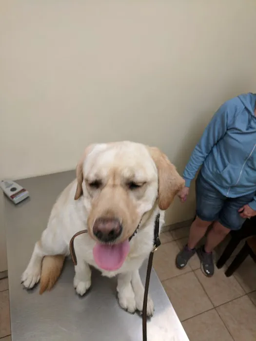 Baldwin Place Animal Hospital 2