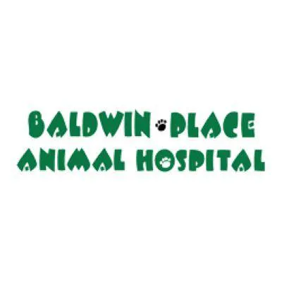 Baldwin Place Animal Hospital 7