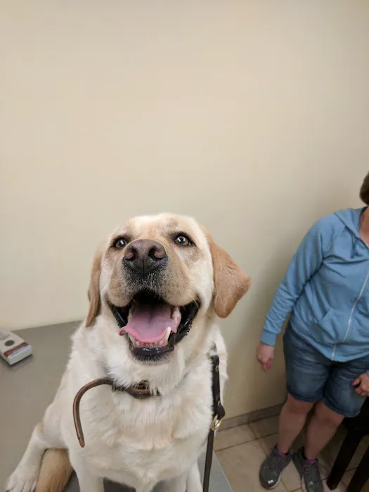 Baldwin Place Animal Hospital 5