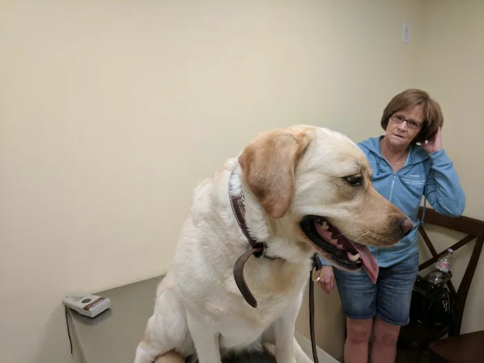 Baldwin Place Animal Hospital 6
