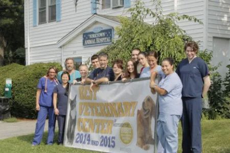 Yorktown Animal Hospital