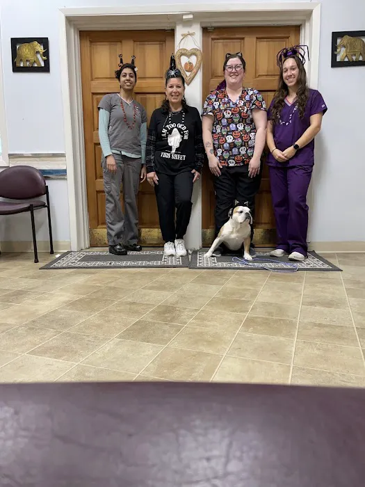 Heights Hospital For Animals 10