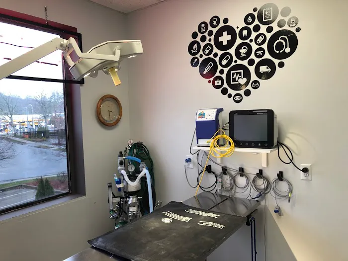 Yorktown Veterinary Associates 4