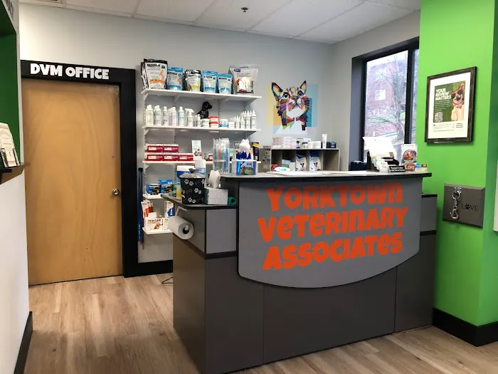 Yorktown Veterinary Associates 9