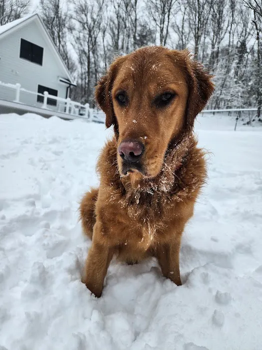 Mahopac Animal Hospital 4