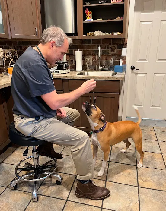 Mahopac Animal Hospital 9