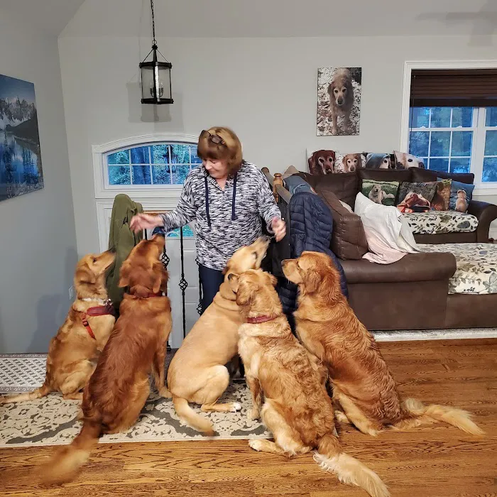 Mahopac Animal Hospital 6