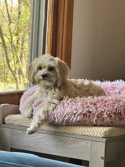 Lincolndale Veterinary Center 4