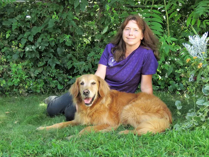 East Fishkill Animal Hospital 2