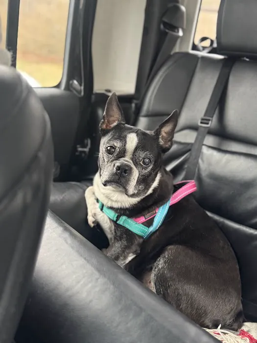 Wappingers Animal Hospital 12