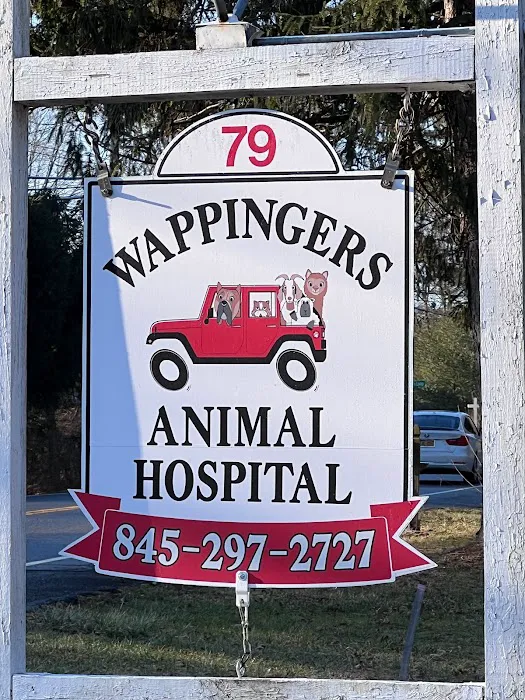 Wappingers Animal Hospital 12
