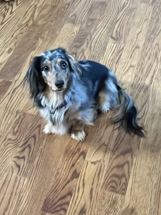 Wappingers Animal Hospital 12