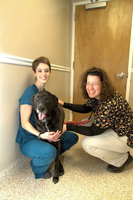 Full Circle Veterinary Hospital 6