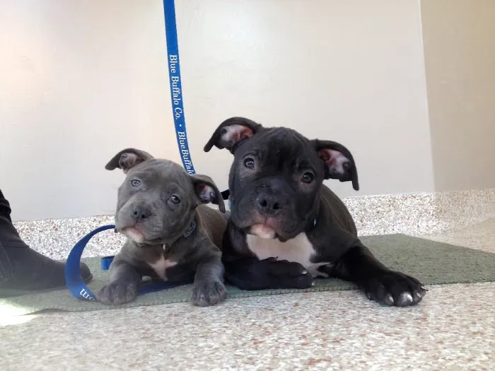 Full Circle Veterinary Hospital 8