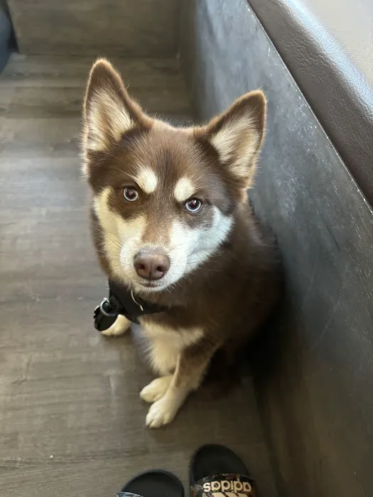 Vetco Total Care Animal Hospital 4