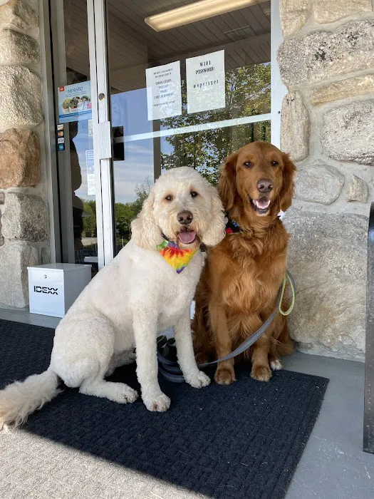 Walker Valley Veterinary Hospital 3