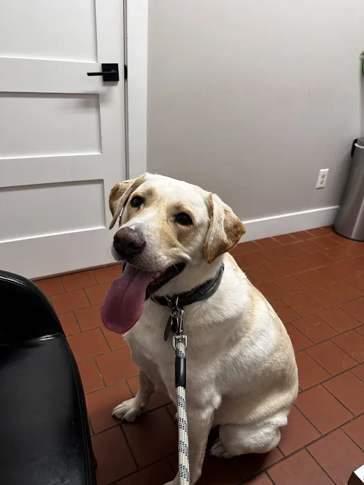 Walker Valley Veterinary Hospital 2