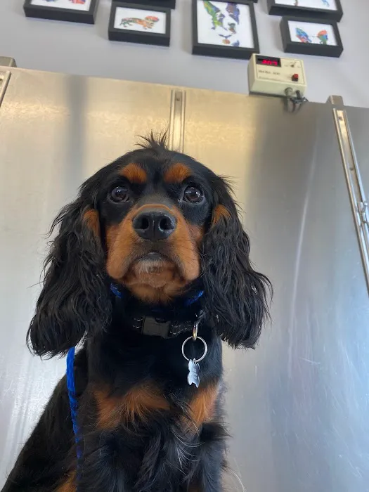 Walker Valley Veterinary Hospital 7