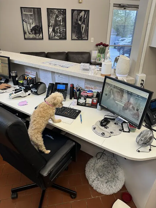 Walker Valley Veterinary Hospital 9