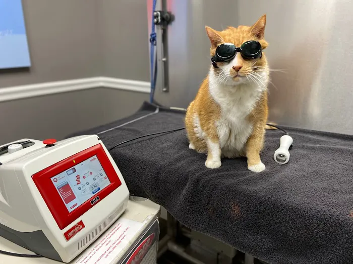 Hopewell Animal Hospital 2