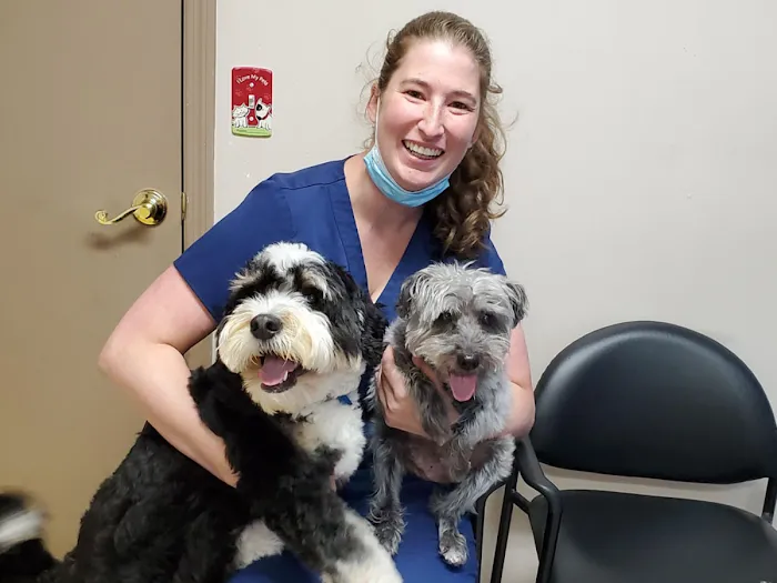 A.C.E. Veterinary Hospital 10