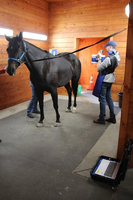 Advanced Equine of the Hudson Valley 4