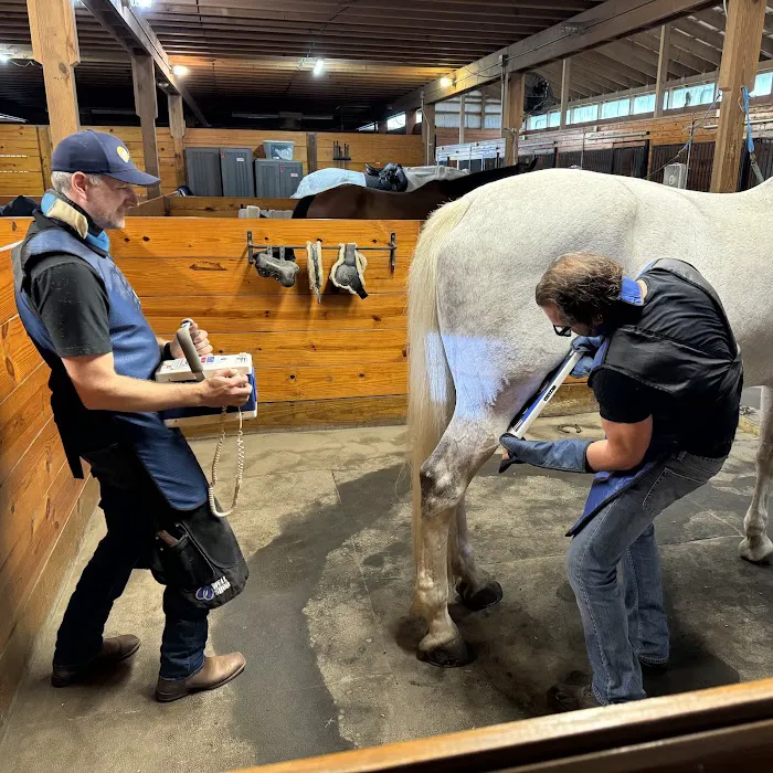 Advanced Equine of the Hudson Valley 3