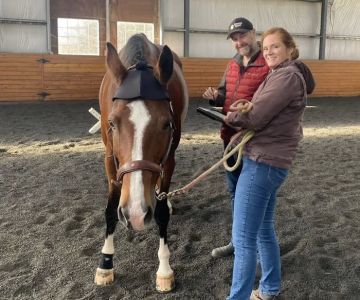 Advanced Equine of the Hudson Valley