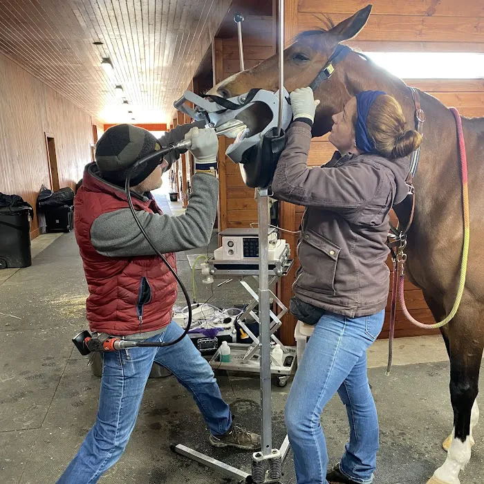 Advanced Equine of the Hudson Valley 2