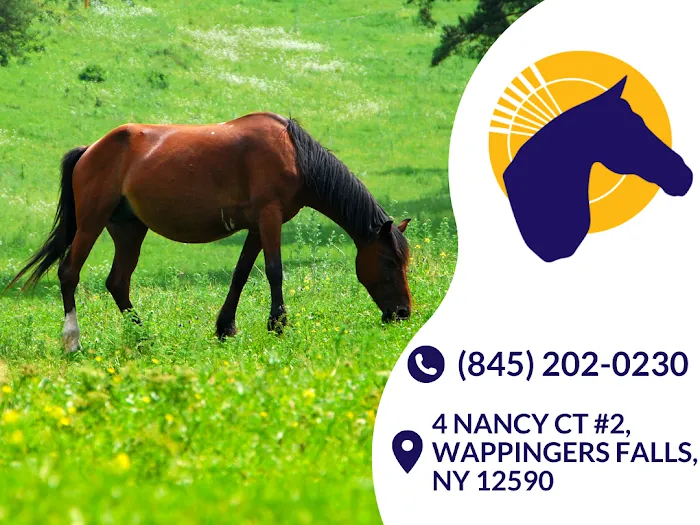 Advanced Equine of the Hudson Valley 10