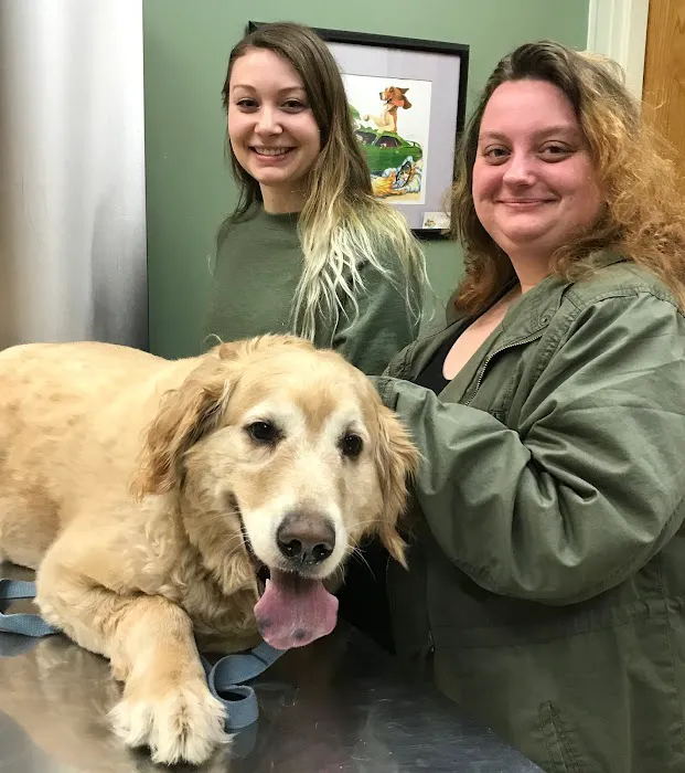 Airport Veterinary Center 3