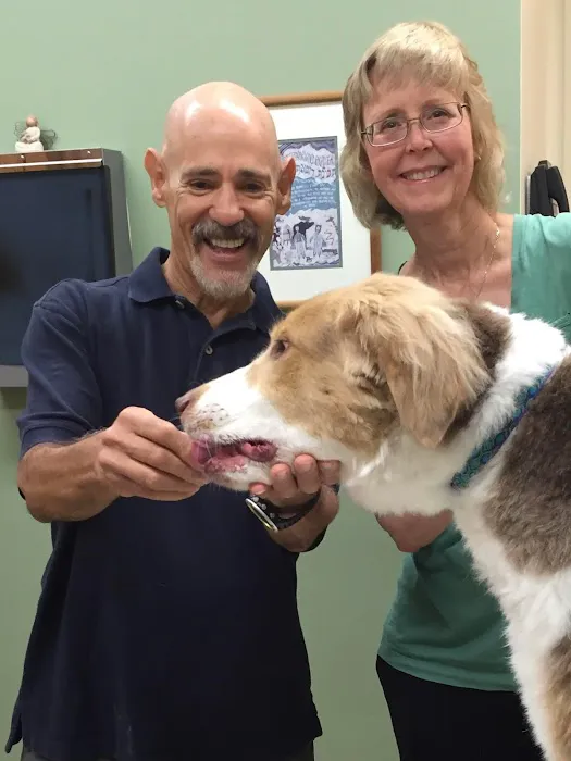 Airport Veterinary Center 7