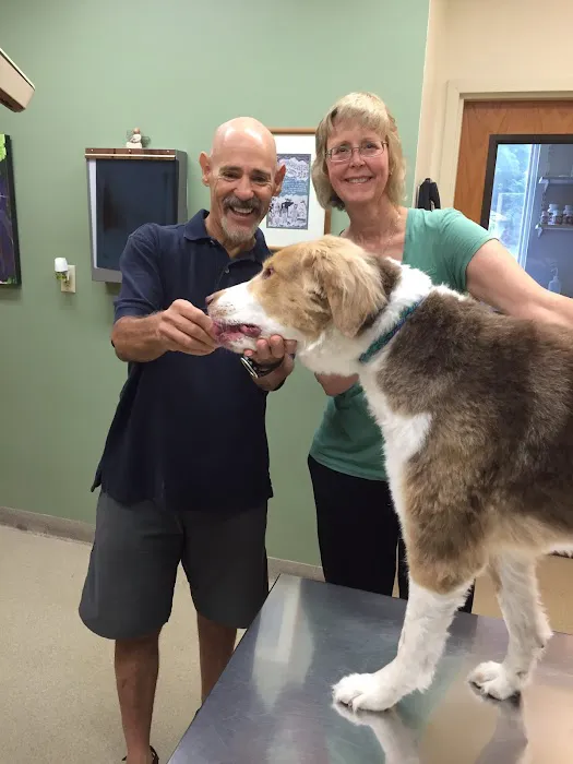 Airport Veterinary Center 5
