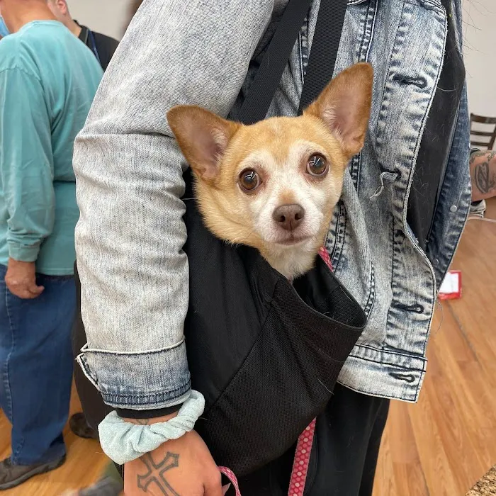 Catskill Veterinary Services, PLLC 3