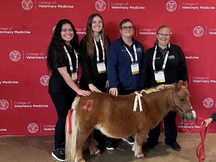 Catskill Veterinary Services, PLLC 9