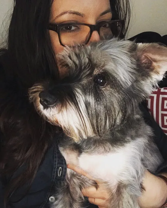 Eitan Houri DVM housecall veterinary services 1
