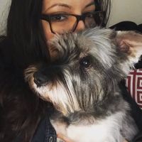 Eitan Houri DVM housecall veterinary services ico
