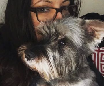 Eitan Houri DVM housecall veterinary services