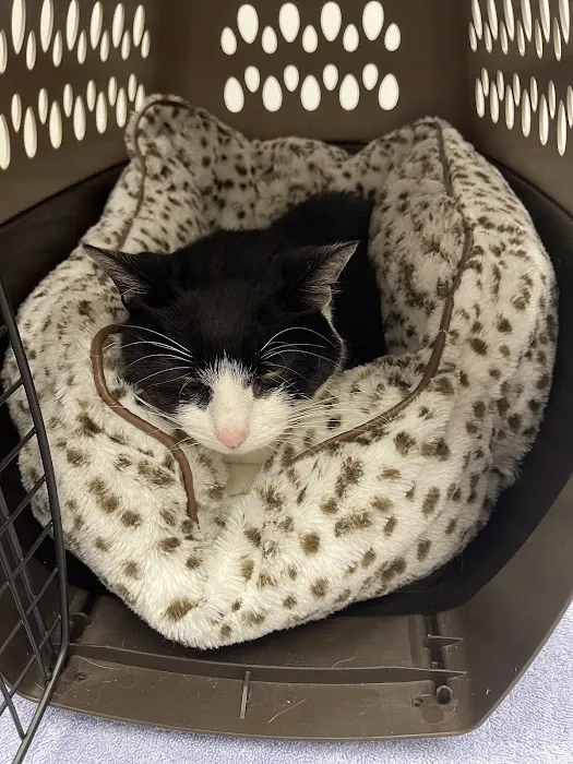 Highland Veterinary Clinic 5