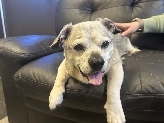 Cherry Ridge Veterinary Clinic 7