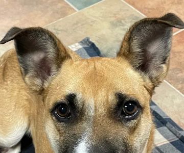 Cherry Ridge Veterinary Clinic