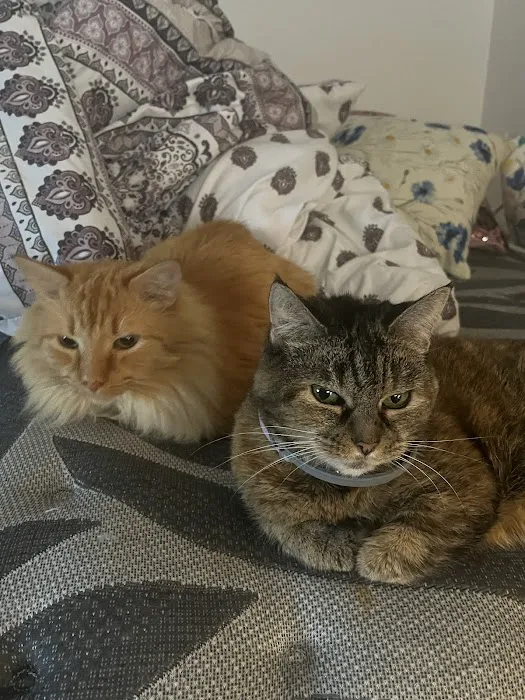 Friends for Life Veterinary Care 3