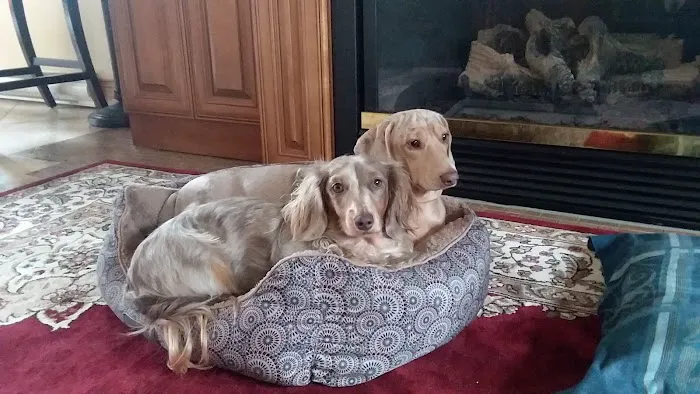 Friends for Life Veterinary Care 5