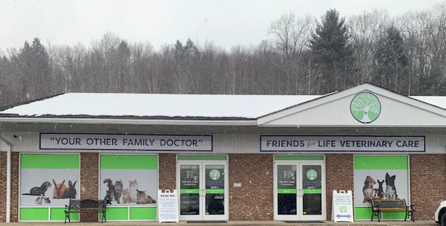 Friends for Life Veterinary Care 9