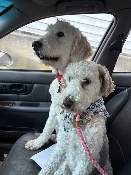 Friends for Life Veterinary Care 7